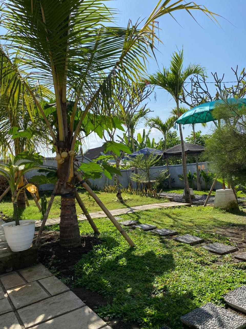 Sumbul View Surfcamp Hotel Airsatang Bagian luar foto